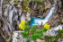 Extreme Canyoning - Medjurecki potok