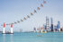 Martin Sonka - UAE
