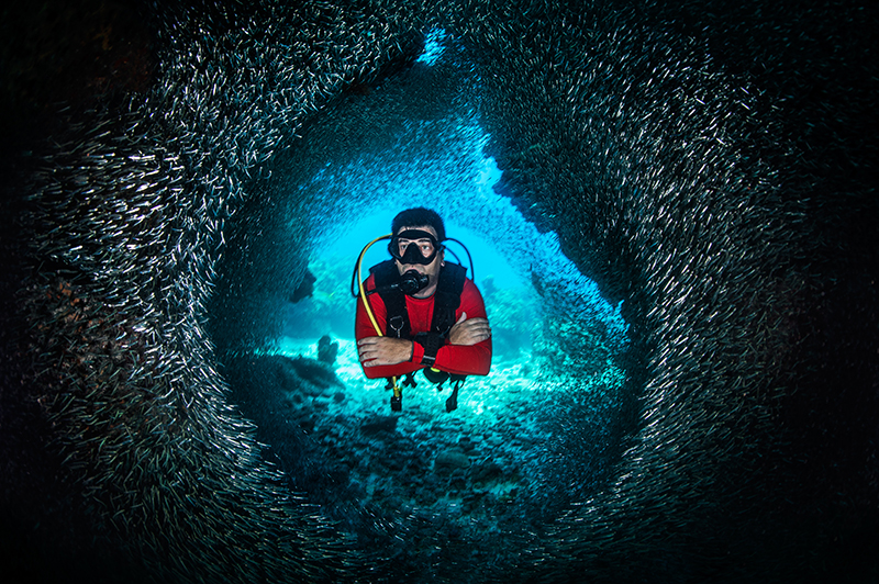 Favorite Scuba Diving Place - Grand Cayman / Cayman Islands