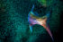 Underwater photography - Cayman Islands