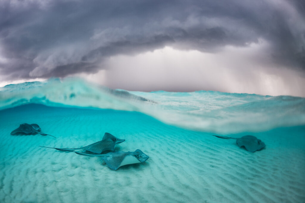 Underwater photography - Cayman Islands