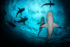 Underwater photography - Bahamas
