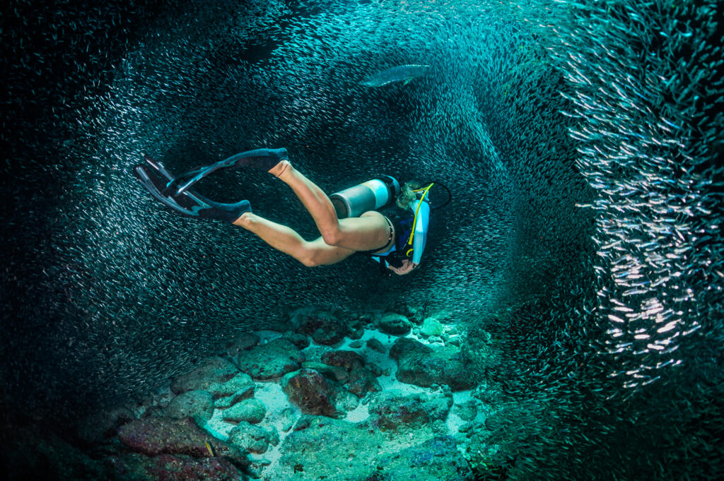 Underwater photography - Cayman Islands