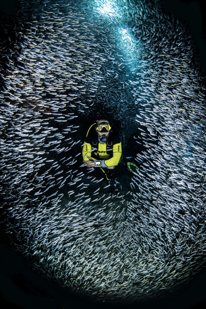 Underwater photography - Cayman Islands