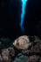 Underwater photography - Cayman Islands