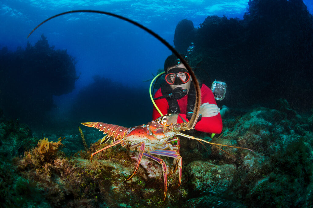 Underwater photography - Cayman Islands