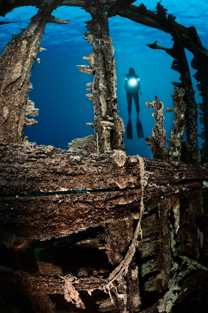 Underwater photography - Egypt