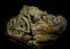 Underwater photography - Egypt