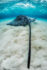 Underwater photography - Cayman Islands