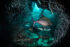 Underwater photography - Cayman Islands