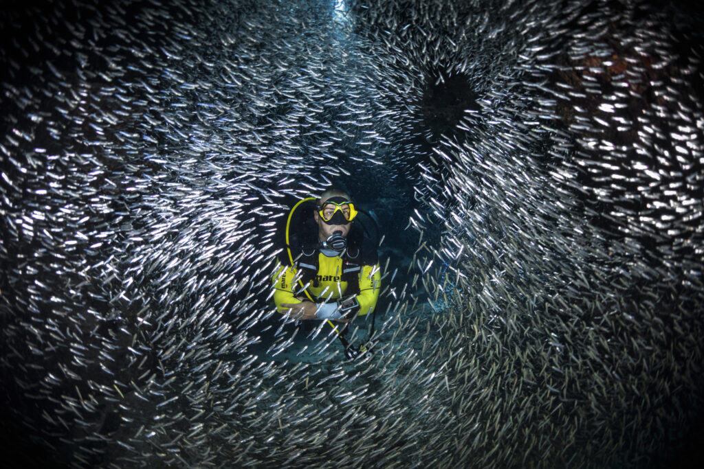 Underwater photography - Cayman Islands