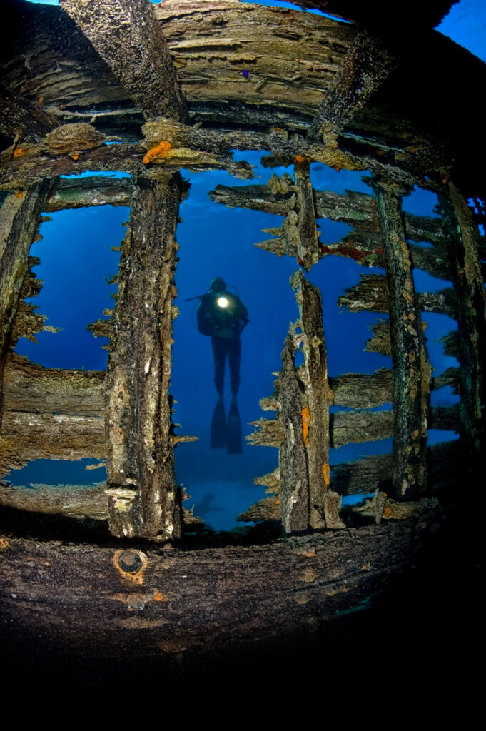 Underwater photography - Egypt