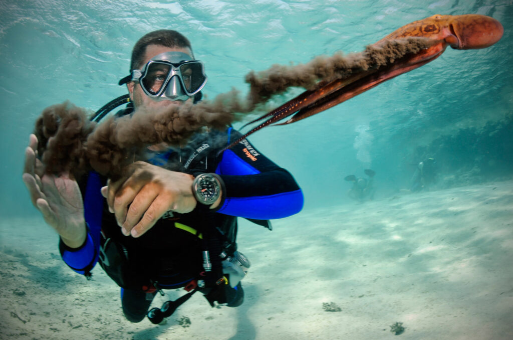 Underwater photography - Egypt