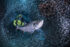 Underwater photography - Cayman Islands