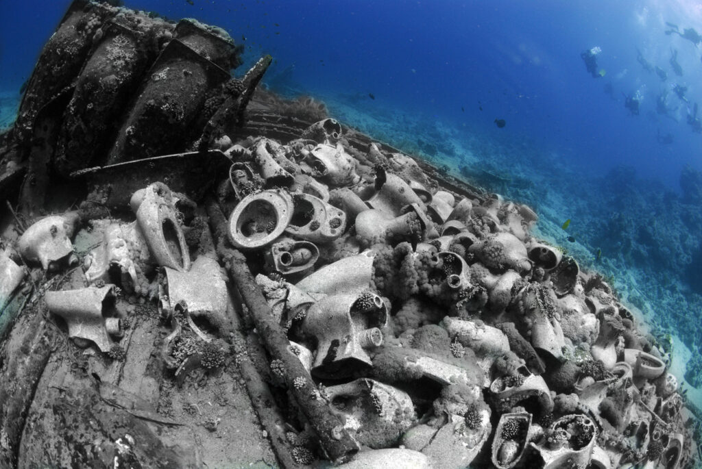 Underwater photography - Egypt