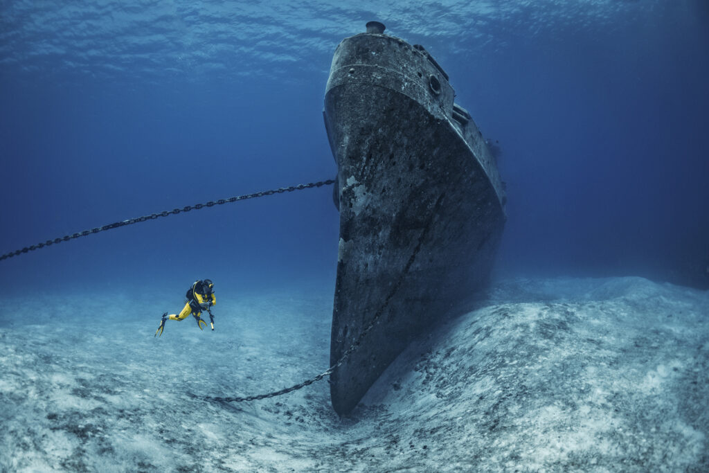 Kittiwake - Cayman Islands