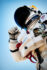 Felix Baumgartner - USA