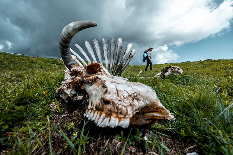 Photoshooting for Highlander Adventure the Ultimate Hiking Experience – Stara Planina / Serbia