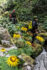 Extreme Canyoning - Izvor Morace