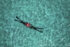 Extreme Photographer, Predrag Vuckovic, Mares, Belize,