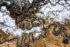 Extreme Photographer, Predrag Vuckovic, Serbia
