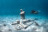 Underwater Photography, Extreme Photographer, Predrag Vuckovic, Underwater Museum, Trogir, Croatia