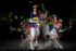 Predrag Vuckovic, Stefan Bojic, Extreme photographer,