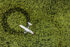 Predrag Vuckovic, Extreme Photographer, Seaplane, Aerial photography,