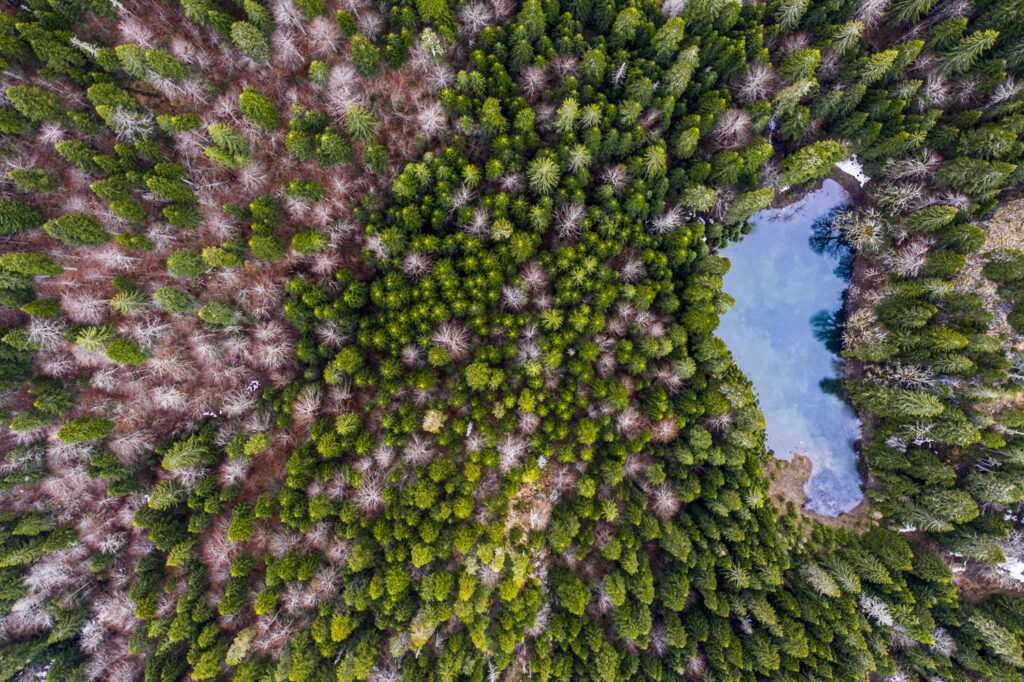 Predrag Vuckovic, Extreme Photographer, Aerial photography, Montenegro, Zabojsko Lake,