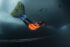 Valentina Cafolla, Predrag Vuckovic, Extreme Photographer,