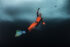 Valentina Cafolla, Predrag Vuckovic, Extreme Photographer,