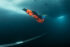 Valentina Cafolla, Predrag Vuckovic, Extreme Photographer,
