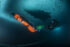Valentina Cafolla, Predrag Vuckovic, Extreme Photographer,