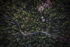 Extreme Photographer, Predrag Vuckovic, Aerial photography, Drone Zabljak, Montenegro