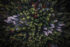 Extreme Photographer, Predrag Vuckovic, Aerial photography, Drone Zabljak,